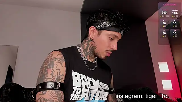 Snapshot of TigerStripes1_ chatting on 12/11/24, 11:54 TigerStripes1 online show from 12/11/24, 11:54