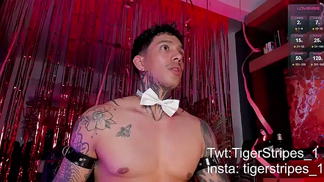 Snapshot of TigerStripes1_ chatting on 02/15/25, 12:15 TigerStripes1 online show from 02/15/25, 12:15