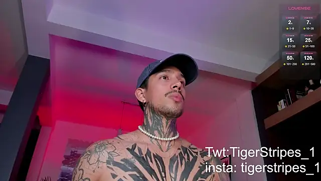 Snapshot of TigerStripes1_ chatting on 03/03/25, 11:46 TigerStripes1 online show from 03/03/25, 11:46