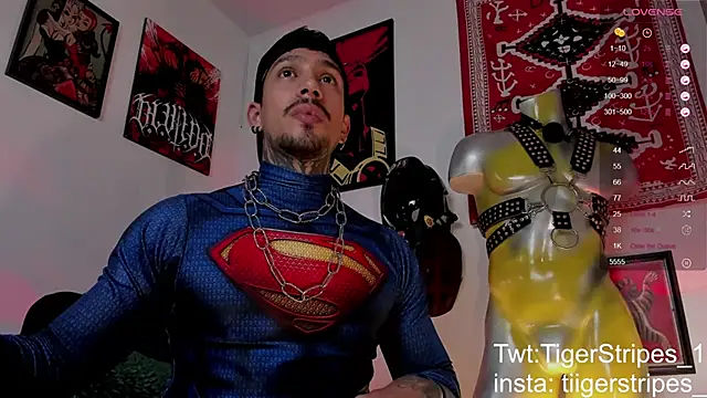 Snapshot of TigerStripes1_ chatting on 03/21/26, 08:41 TigerStripes1 online show from 03/21/26, 08:41