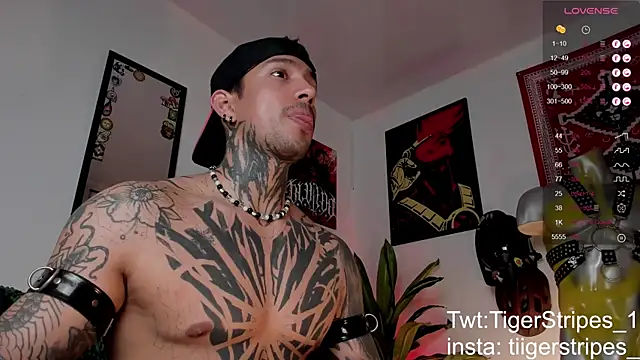 Snapshot of TigerStripes1_ chatting on 03/24/26, 02:55 TigerStripes1 online show from 03/24/26, 02:55