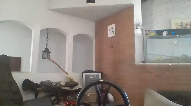 Stevenson988 online show from 12/19/24, 06:01