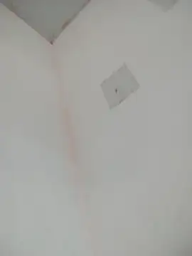 Snapshot of loiradiva29 chatting on 03/22/25, 02:25 loiradiva29 online show from 03/22/25, 02:25