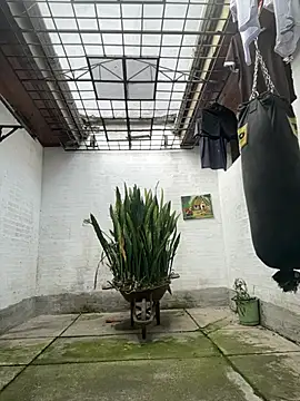 oliver price1 online show from 02/17/26, 03:08