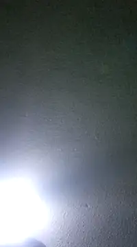 Elcogetuquieres online show from 01/08/25, 05:16