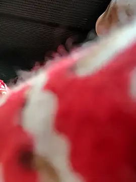 Snapshot of Kolkata___Boy chatting on 11/16/25, 05:46 Kolkata Boy online show from 11/16/25, 05:46